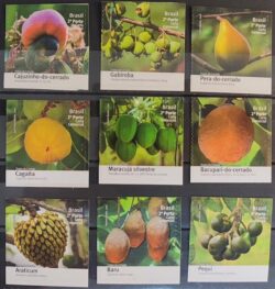 C 3631 Selo Frutas do Cerrado Bacupari 2016 Serie Completa