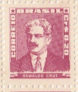 Selo Regular RHM 504 Bisneta Oswaldo Cruz Saude Sem Goma 1961