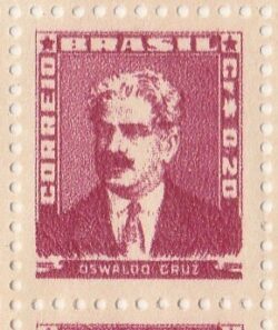 Selo Regular RHM 504a Bisneta Oswaldo Cruz Saude Sem Goma 1952