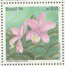 C 2008 Selo Conferencia Mundial de Orquideas Verde Rosa 1996