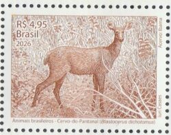 C 4200 Selo Animais Brasileiros 2026 Cervo do Pantanal