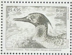 C 4202 Selo Animais Brasileiros 2026 Pato Mergulhao