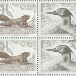 C 4200 Selo Animais Brasileiros Cervo Esquilo Pato Boto 2026 Octilha CBC DF