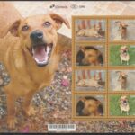 C 4204 Selo Cachorro Caramelo 2026 Folha