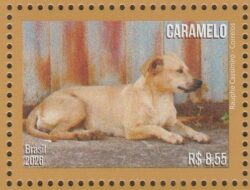C 4204 Selo Cachorro Caramelo 2026 Rauphe