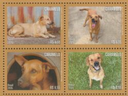 C 4204 Selo Cachorro Caramelo 2026 Serie Completa
