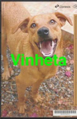 C 4204 Vinheta do Selo Cachorro Caramelo 2026