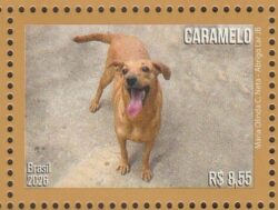 C 4205 Selo Cachorro Caramelo 2026 Abrigo Lar JB