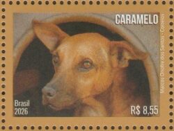 C 4206 Selo Cachorro Caramelo 2026 Marcos