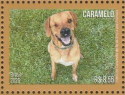 C 4207 Selo Cachorro Caramelo 2026 Instituto